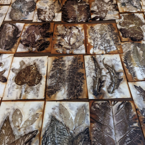 eco printing 3